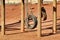 Old weathered tire swings at a park