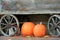 Old weathered wagon with two pumpkins and scatter of berries