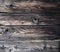 Old weathered wood surface texture with little rusty nail heads