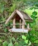 Old weathered wooden bird feeder, hanging from tree branch in a garden