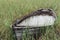 Old and weathered wooden boat wreck in the green reed outdoors during rainy weather.