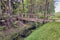 Old weathered wooden bridge over a stream with black water connecting a meadow and a forest