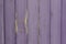 Old weathered wooden panelled fence with fading purple peeling paint
