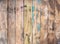Old weathered wooden plank painted in color