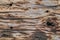 Old Weathered Wooden Railway Sleeper Rotten Cracked Drilled Grunge Surface Texture