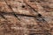 Old Weathered Wooden Railway Sleeper Rotten Cracked Drilled Grunge Surface Texture