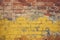 Old and weathered yellow and red brick wall, seamless pattern backdrop.