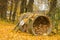 Old well liners, where firewood is stored, on an autumn day with yellow leaves