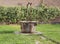 old well to collect water in the Pomposa Abbey in Italy