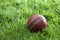 Old well used cricket ball in a grass