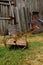 Old wheel cart in front of a weathered barn