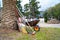 Old wheelbarrow to gather garbage, and garden tools for cleaning and caring for garden stand by thick trunk of palm tree