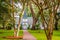 Old White Church Under Spanish Moss