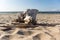 old white trunk on a sand