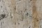 Old white wooden, close up of wall made of wooden planks, wood table, abandoned wood