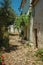 Old whitewashed houses and flowered shrubs