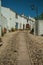 Old whitewashed houses and flowered shrubs in cobblestone alley