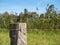 Old wicker fence post, wood pile with tensioned barbed wire