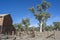 Old Wilpena Station, Ikara-Flinders Ranges, South Australia