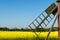 Old windmill by a blossom rapeseed field