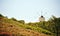 Old windmill in countryside