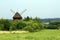 Old windmill drowning in the green, view