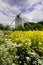 Old Windmill with Oilseed and wild flowers