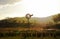 Old windmill in rural country landscape at sunset outback Australia