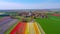 Old windmill, at the sprawling Tulip fields, Generative AI Image