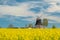 Old windmill stands on a canola field