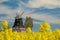 Old windmill stands on a canola field