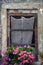 Old window with lace curtain and flower box