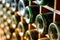 Old wine bottles stacked on wooden racks