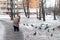 Old woman and doves in square at winter time. Pension concept.