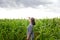 Old woman  farmer in   cornfield in   evening