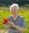 Old woman with poppies