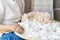 An old woman is selecting cotton to be used in weaving cotton clothes. Local Master are the original Cotton Weaving. Loei,