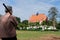 old woman with shovel in farmland. senior in garden. farmer & ag