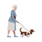 Old Woman Walking a dog. Senior lady with Basset Hound on Leash. Elderly in Hat with Cane. Pensioners Activity. Vector