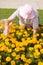 Old women gardening