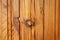 Old wood boazeria texture. Yellow Rustic Old Barn Board Wood Paneling