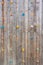 Old wood climbing wall with toe and hand hold studs.