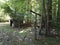 Old wood clothesline with string and trees and storage shed