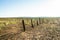 Old wood fence with fire damage on a flat prairie