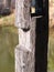 Old wood log pillar standing