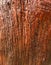 Old wood, patterned wood, cracks texture