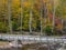 Old wood pedestrian bridge