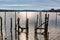 Old wood pilings ruins with a sailboat in the distance