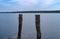 Old wood pilings in Stockton Harbor