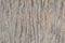 Old Wood Plank Surface Texture timber board vintage panel decorative